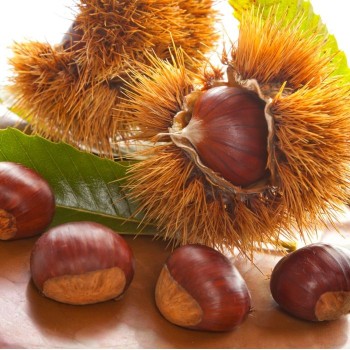Castagne Marrone di Serino IGP - 10 kg